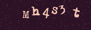 Validation image