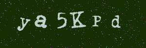 Validation image