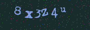 Validation image