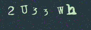 Validation image