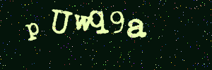 Validation image
