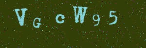 Validation image
