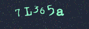 Validation image