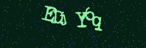 Validation image