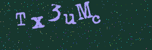 Validation image