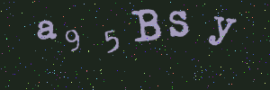 Validation image