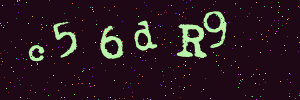 Validation image